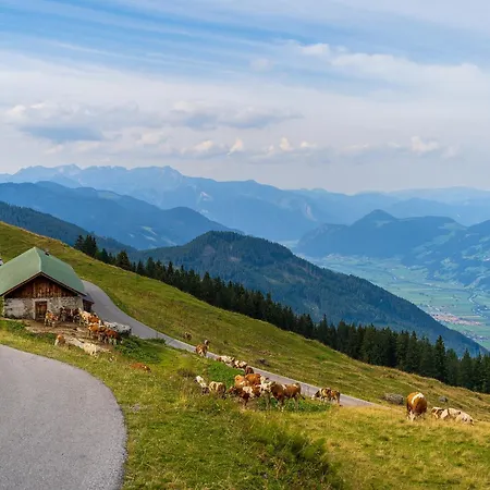 Appartement Van's Place, Luxury *