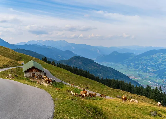 דירה Van's Place, Luxury *